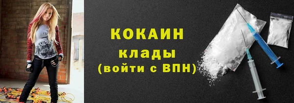 шишки Ладушкин