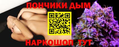 гидра Заводоуковск