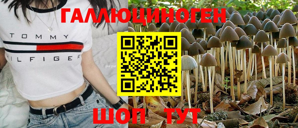Малоярославец  Галлюциногенные грибы прущие грибы  где купить   Вход с VPN  Псилоцибиновые грибы прущие грибы 